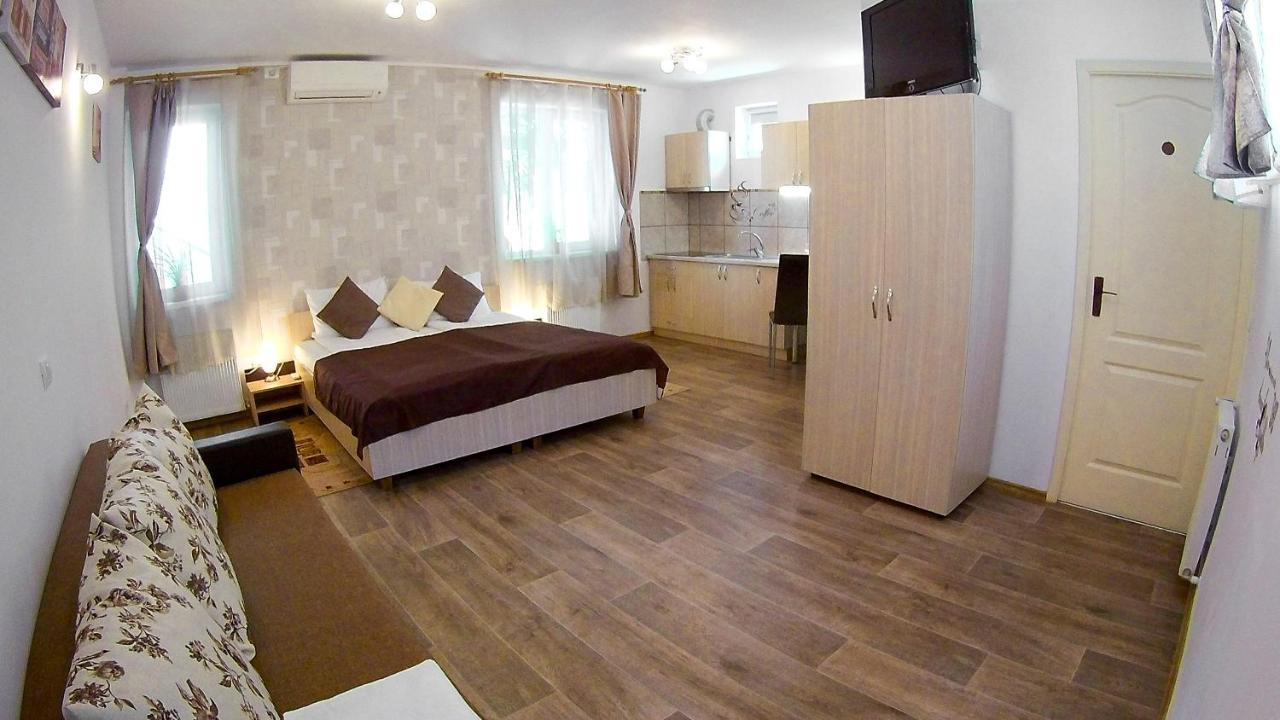 Nice & Cozy Apartments Temesvár Kültér fotó