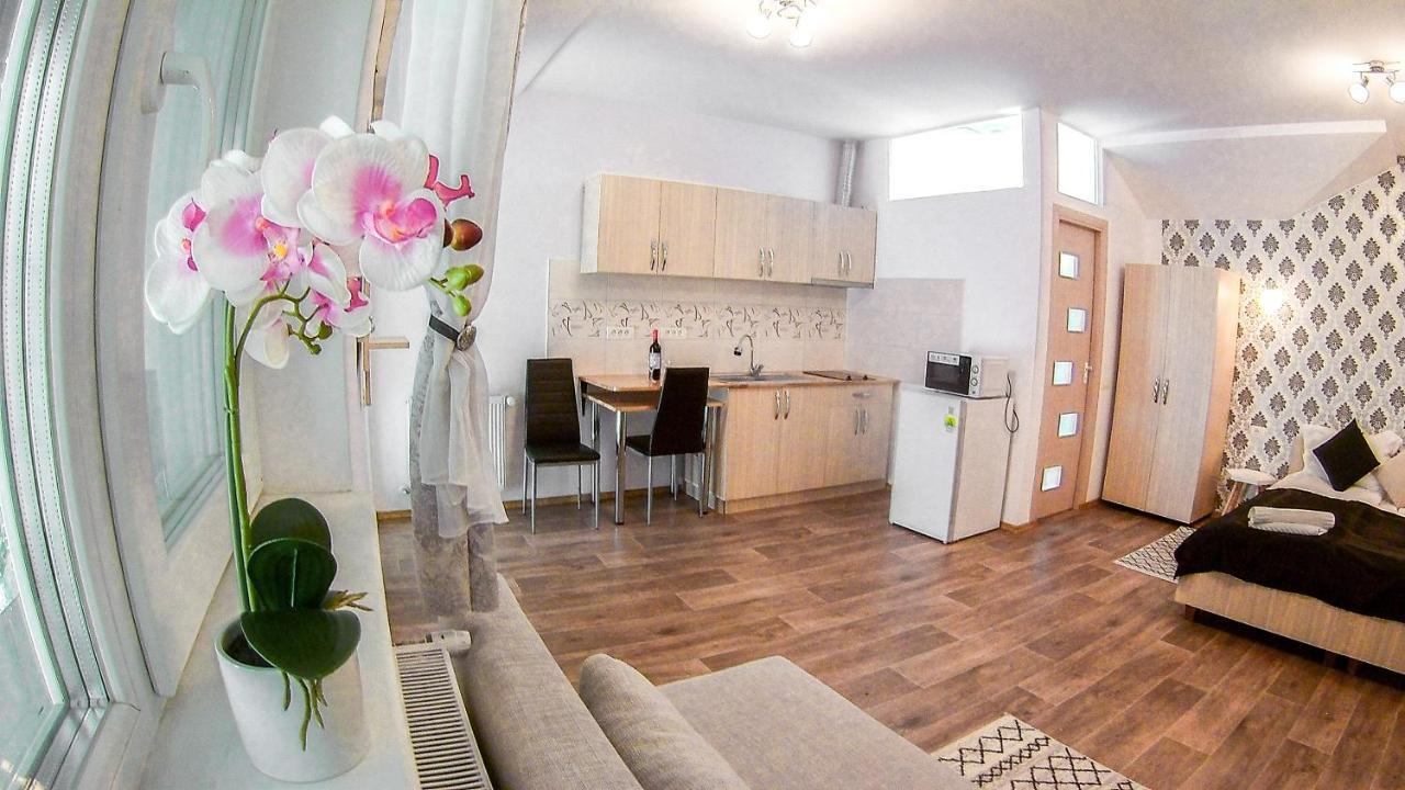Nice & Cozy Apartments Temesvár Kültér fotó