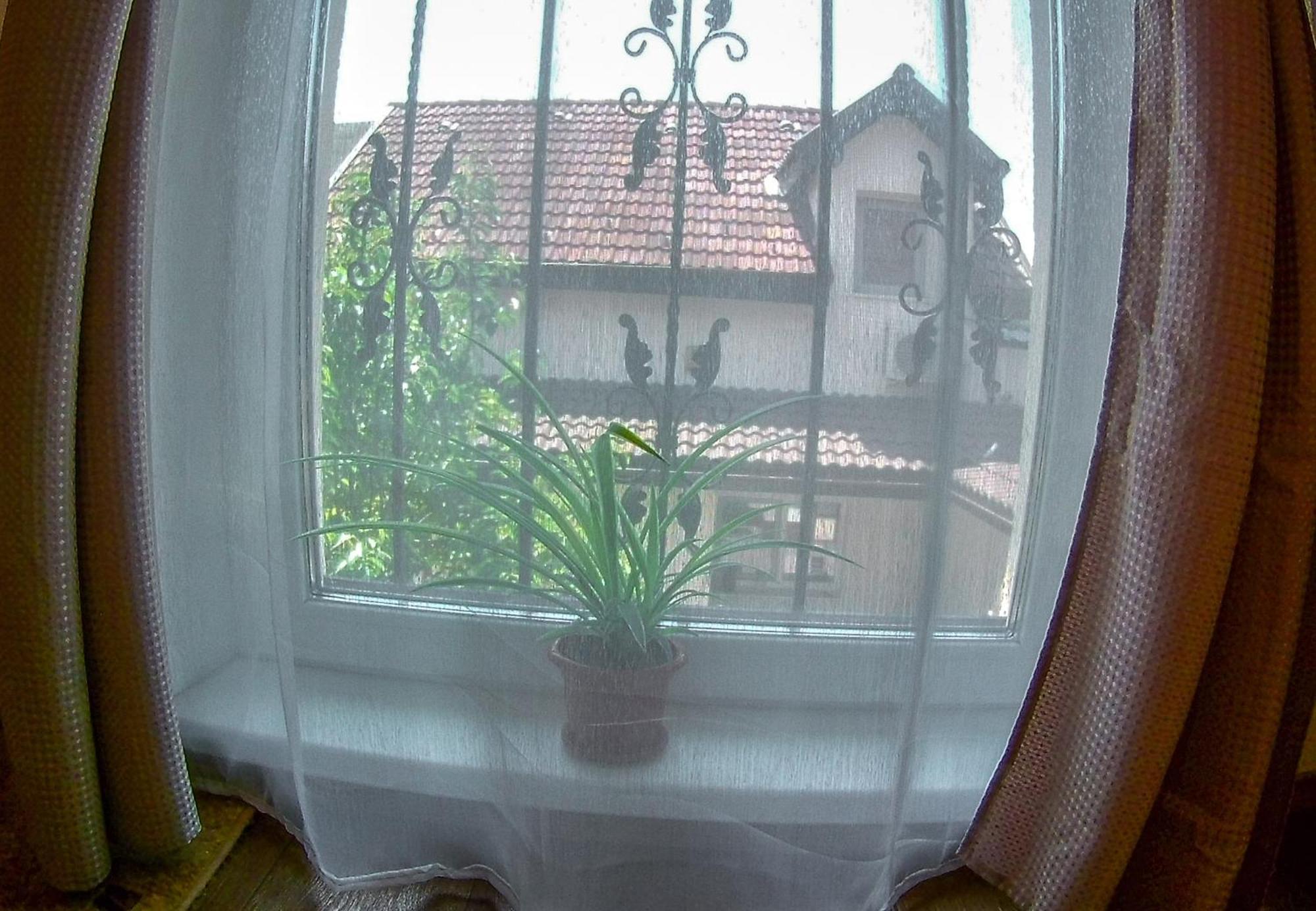 Nice & Cozy Apartments Temesvár Szoba fotó
